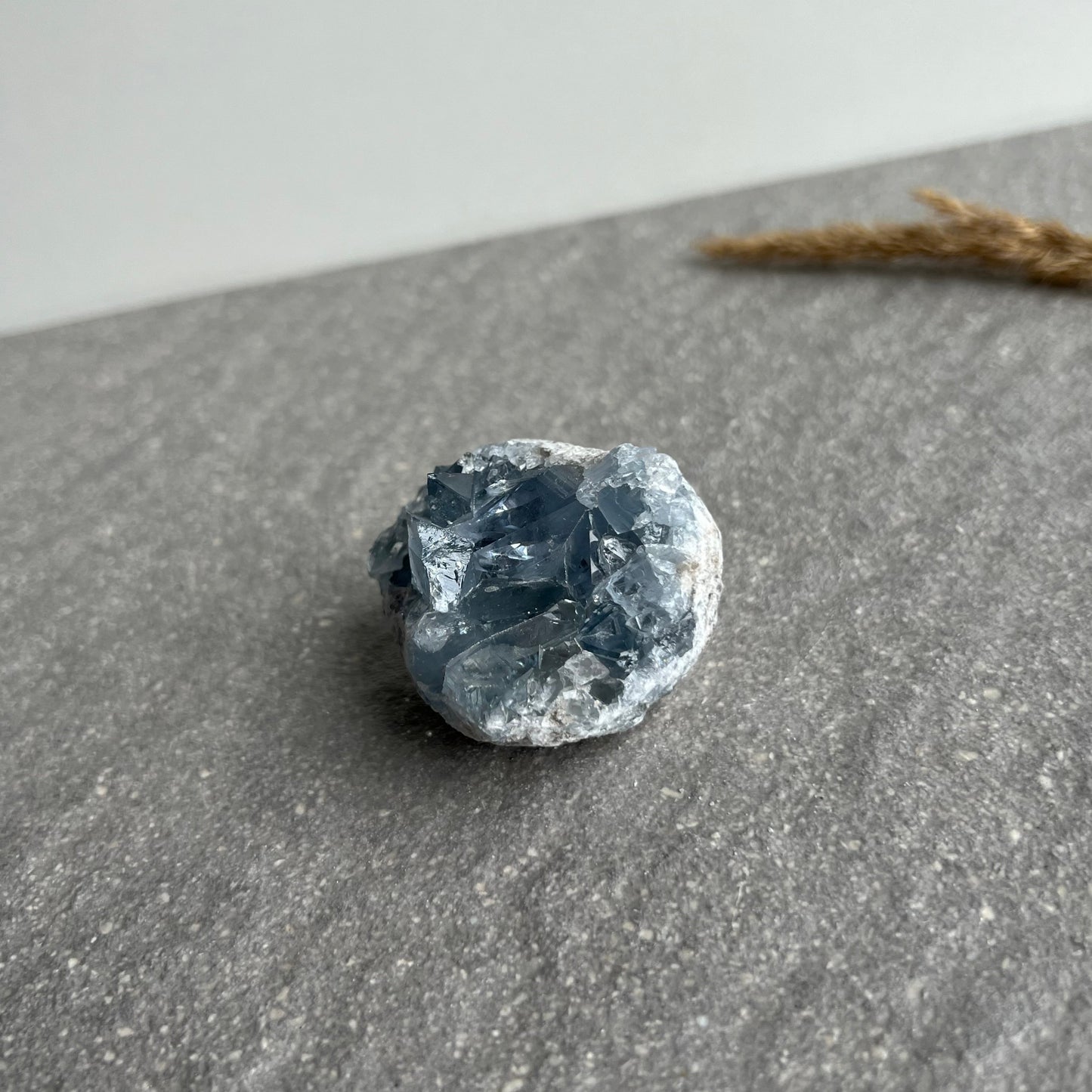 Coelestin Stufe 6 von der Seite