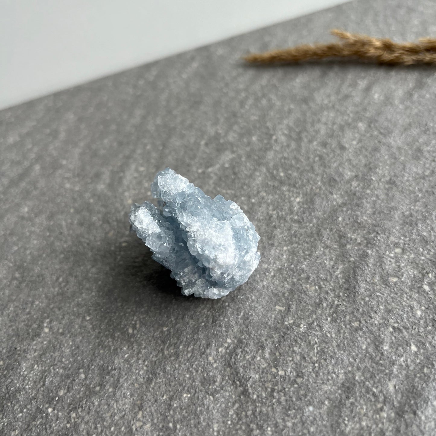 Coelestin Stufe 1 von der Seite