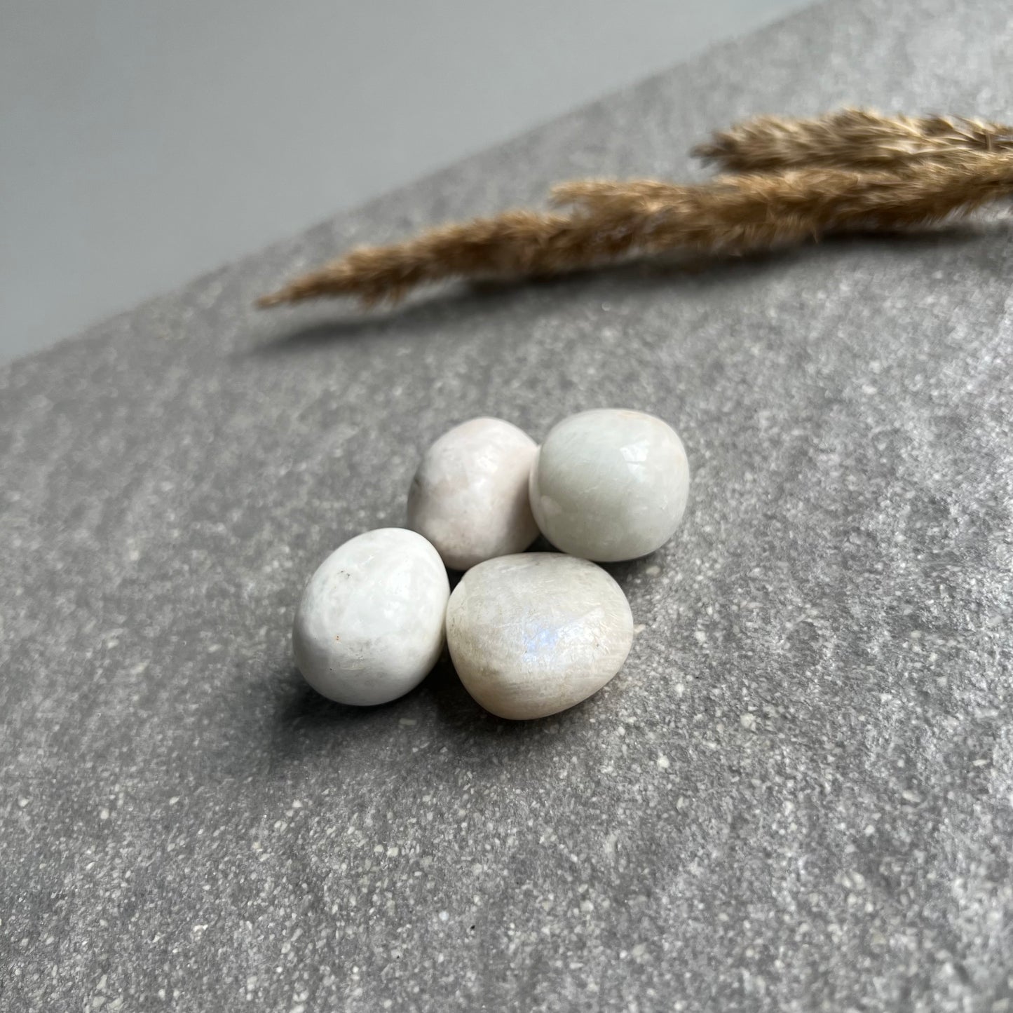 Schimmernder Regenbogenmondstein M