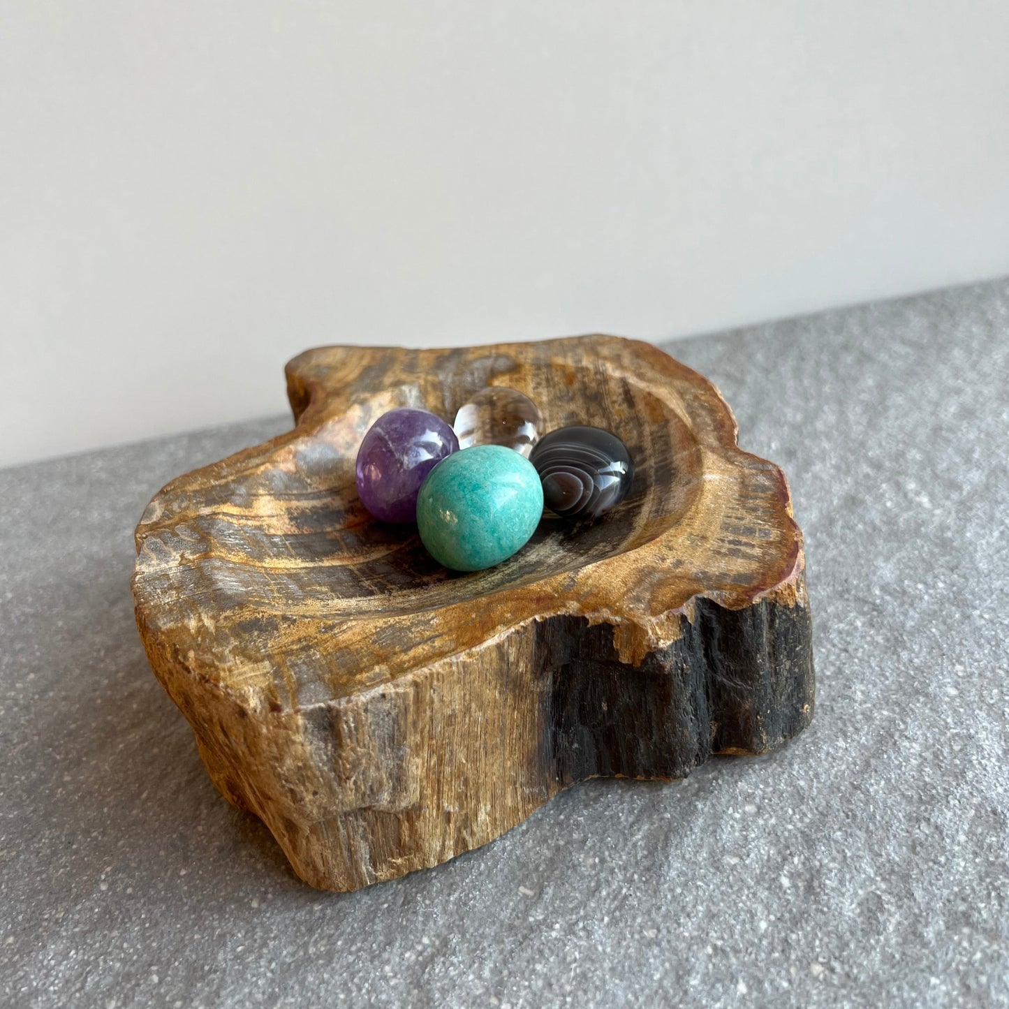 Wunderschöne Schale aus versteinertem Holz - innen glänzend poliert - perfekt zur Aufbewahrung von Trommelsteinen