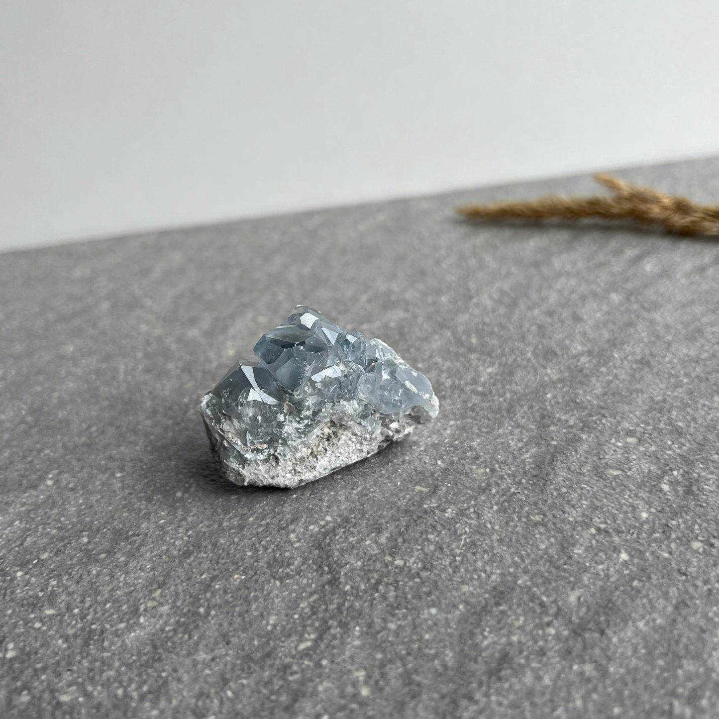 Coelestin Stufe 4 von vorne