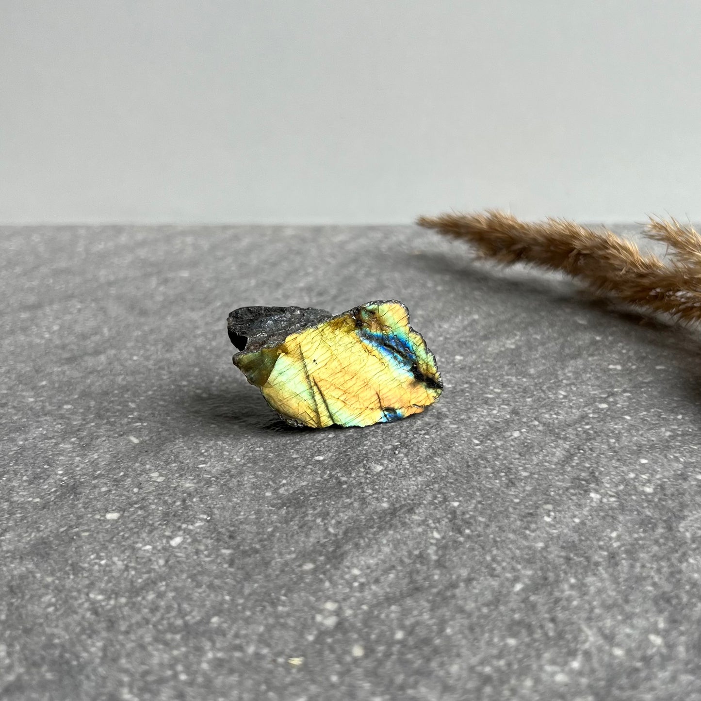Labradorit Anschliff 6