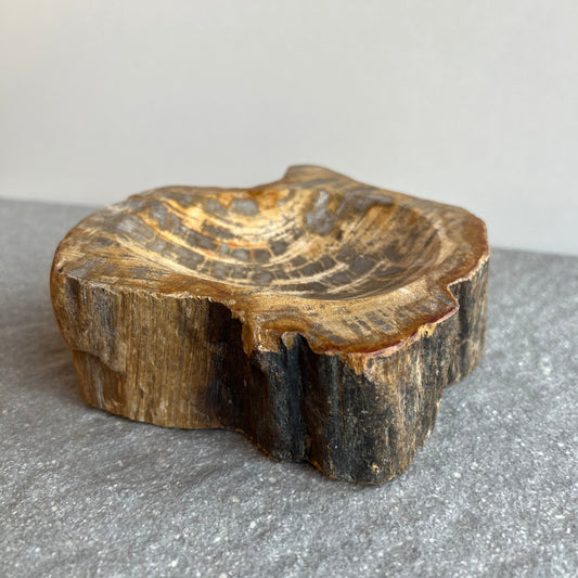Wunderschöne Schale aus versteinertem Holz - innen glänzend poliert