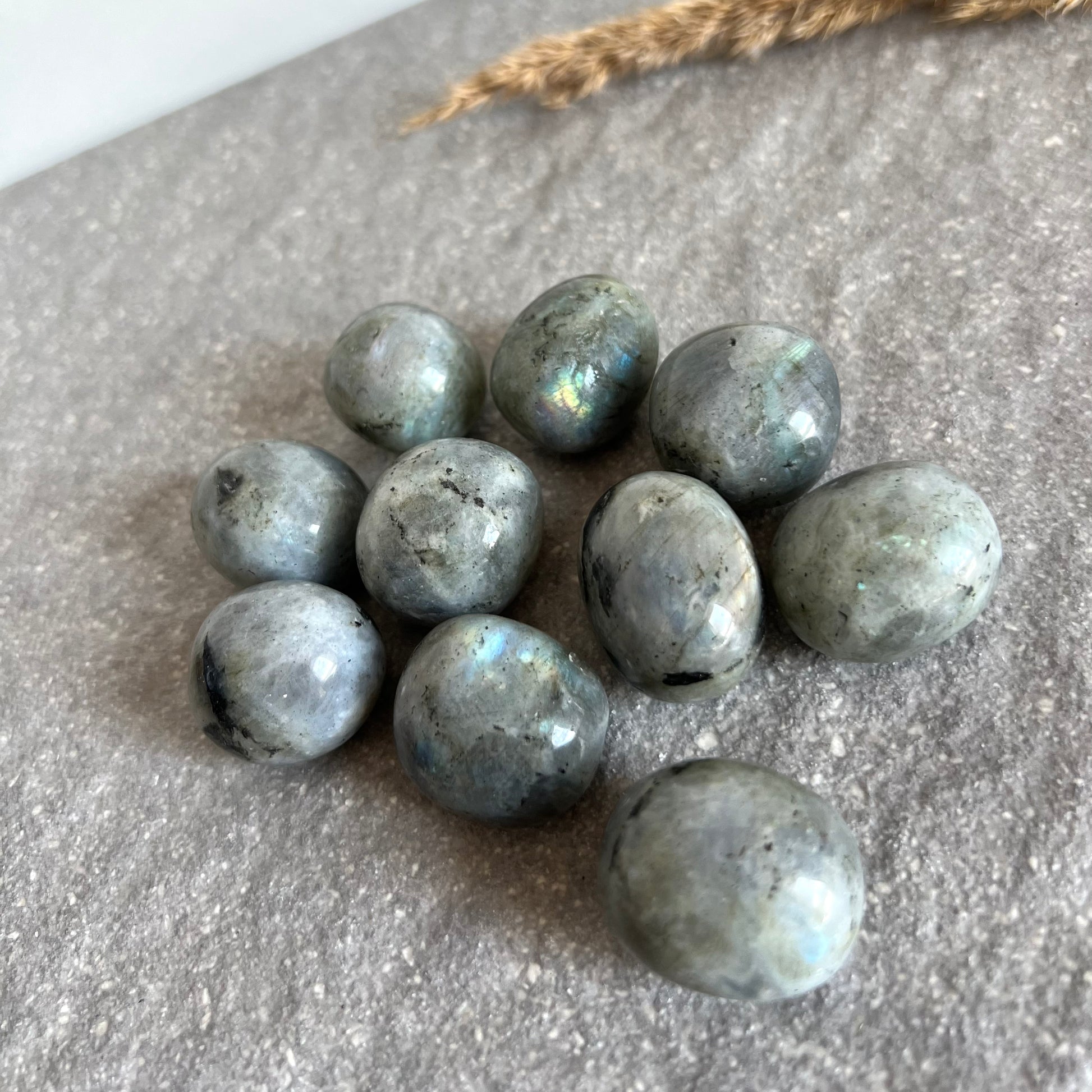 Labradorit Trommelsteine rund